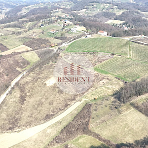 SVETI KRIŽ ZAČRETJE Gradilište + vinograd, zemljište 60.000 m2, top lokacija, BEZ PROVIZIJE